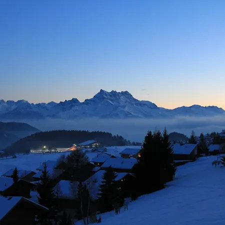 Ferienwohnung La Petite Silene Leysin Exterior foto