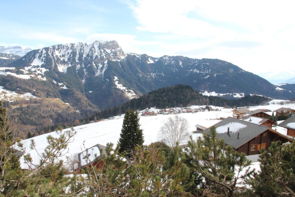 La Petite Silene Leysin
