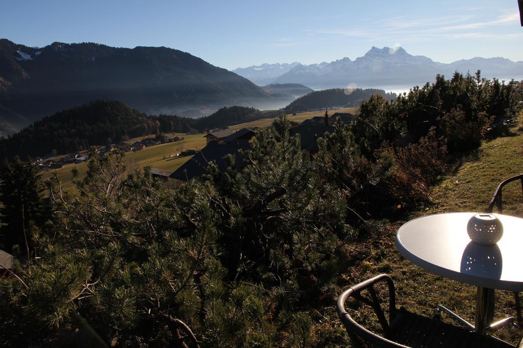 La Petite Silene * Leysin